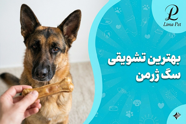 بهترین تشویقی برای سگ ژرمن