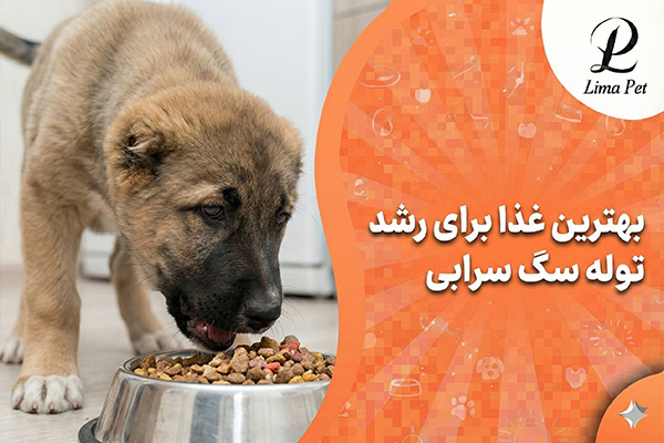 بهترین غذا برای رشد توله سگ سرابی