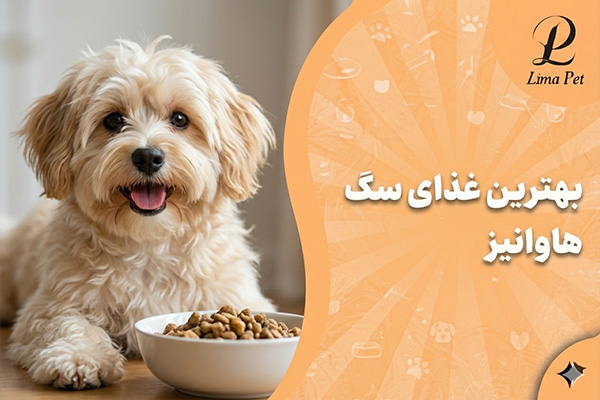 بهترین غذای سگ هاوانیز