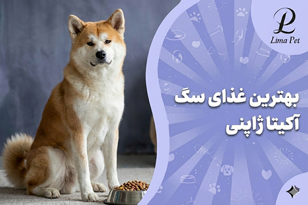 بهترین غذای سگ آکیتا ژاپنی