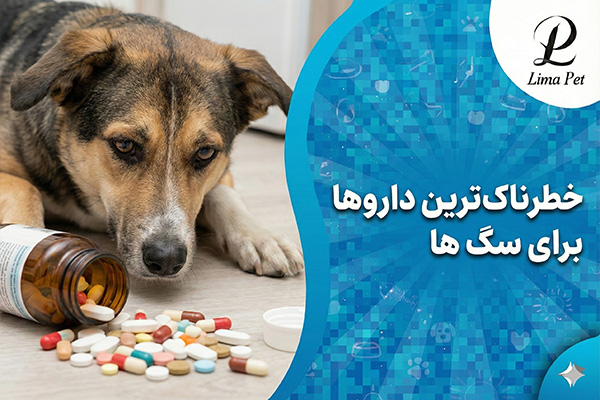 خطرناک‌ترین داروها برای سگ ها