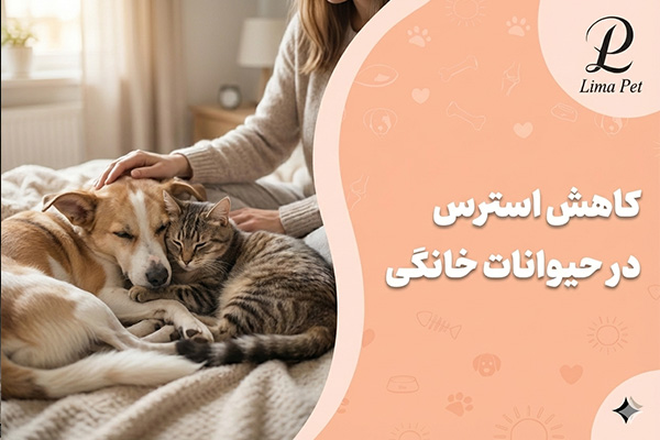 کاهش استرس در حیوانات خانگی