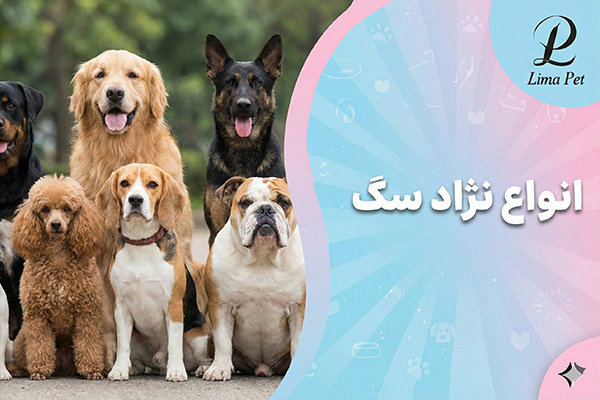 انواع نژاد سگ