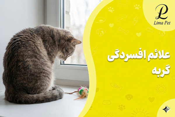 علائم افسردگی در گربه ها چیست؟