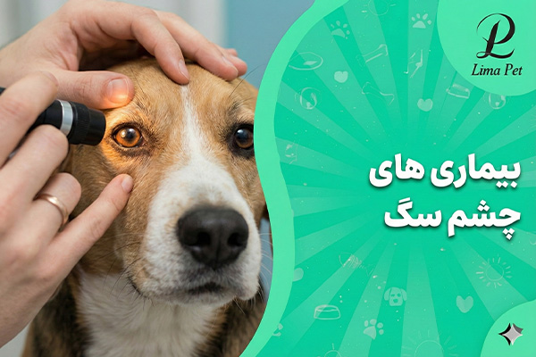 بیماری های چشم سگ