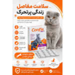 مکمل درمانی مفاصل گربه کپسول کانفیس کاندیولی candioli تعداد 15 عدد