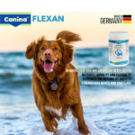 مکمل تقویتی مفاصل و استخوان سگ پودر فلکسان کنینا canina وزن 150 گرم