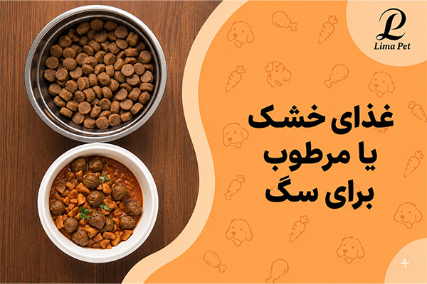 غذای خشک یا مرطوب برای سگ
