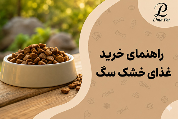 راهنمای خرید غذای خشک سگ