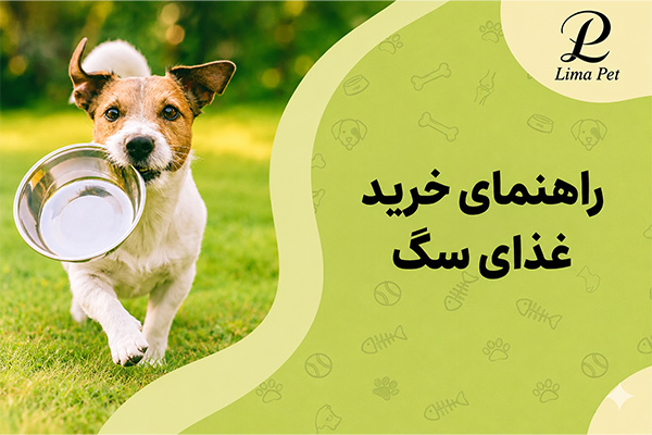 راهنمای خرید غذای سگ