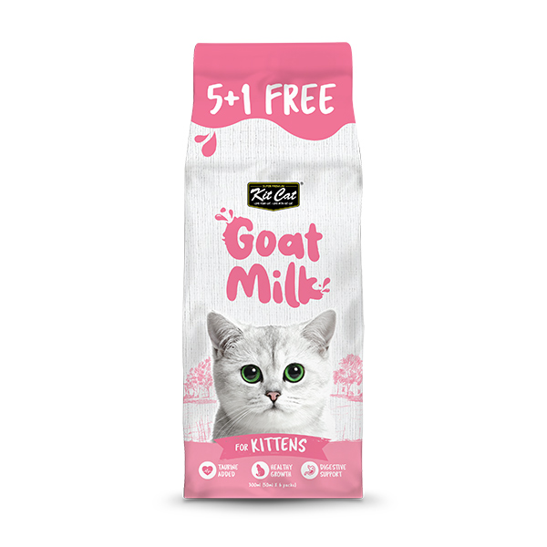 شیر بچه گربه طعم شیر بز کیت کت kit cat بسته 6 عددی