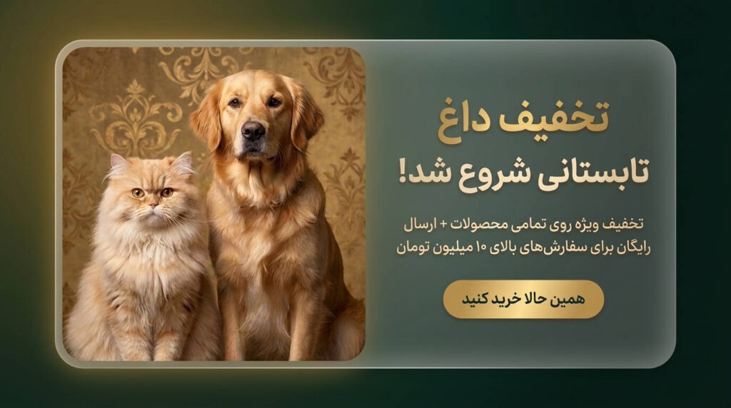 پاپ آپ