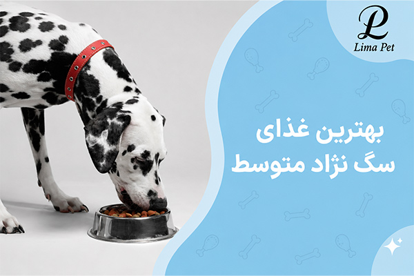 بهترین غذای سگ نژاد متوسط