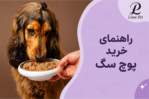 راهنمای خرید پوچ سگ